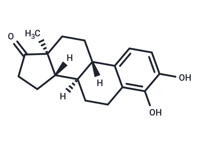 4-Hydroxyestrone