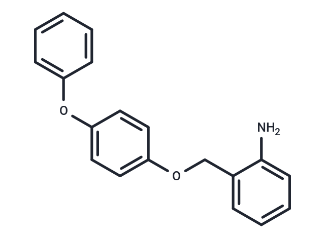 MERS-CoV-IN-1