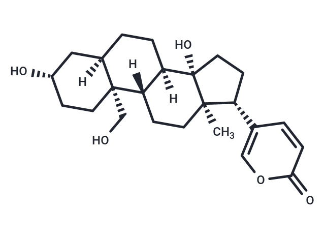 19-Hydroxybufalin