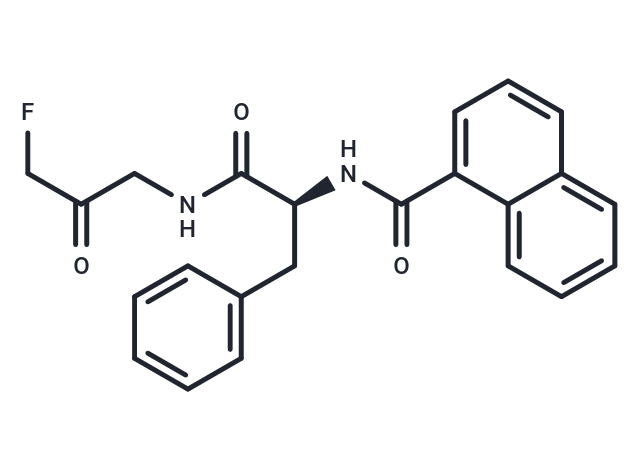 FMK 9a