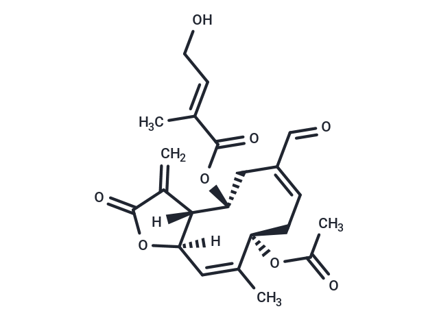 Eupalinolide O