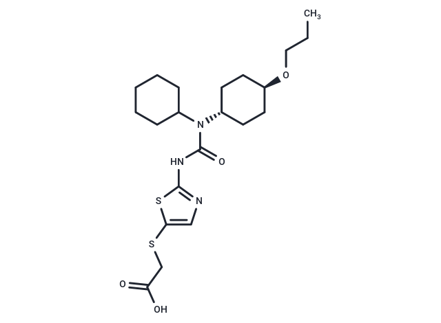 Cadisegliatin