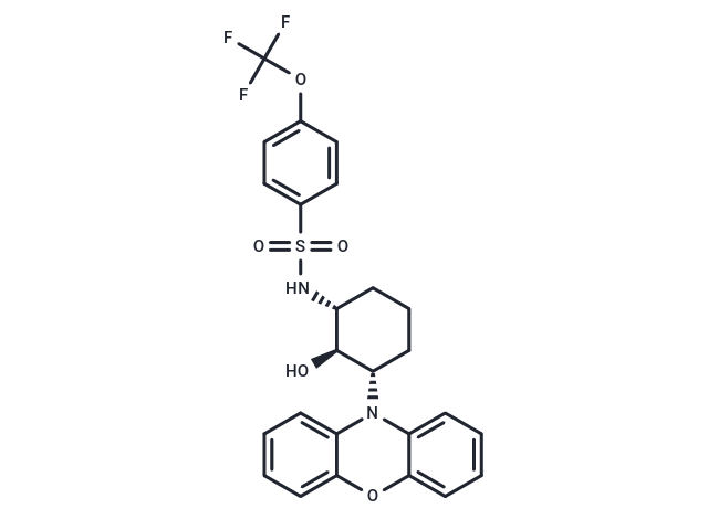 DT-061