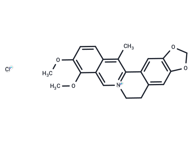 13-Methylberberine chloride