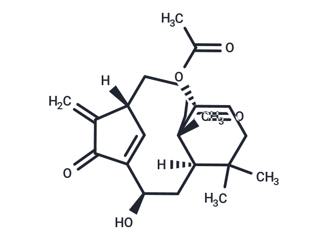 Kongensin A