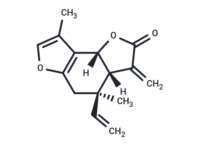 Isolinderalactone