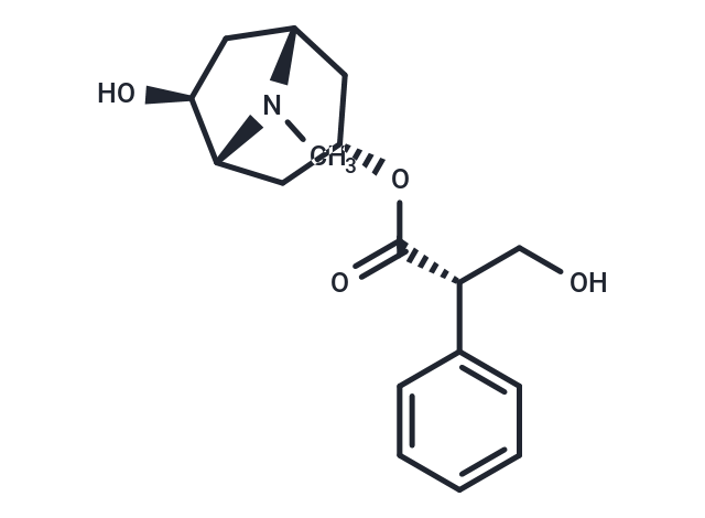 Anisodamine