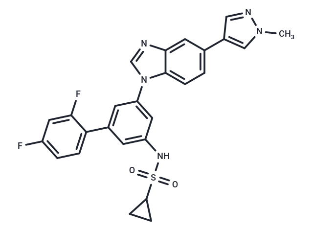 ODM-203