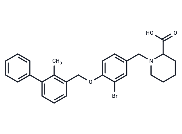 BMS-8