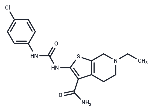 PROTO-1