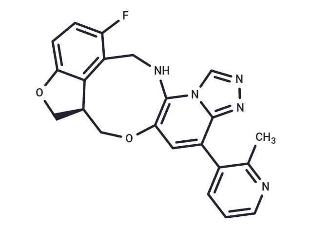 FTX-6058