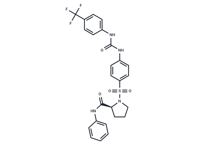 ZL0580