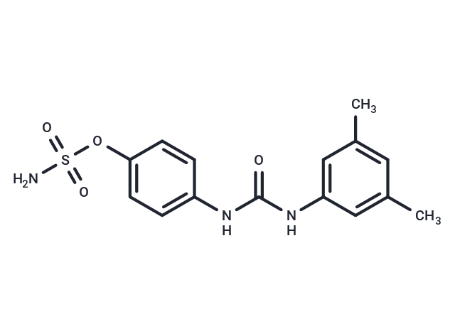 CAIX Inhibitor S4