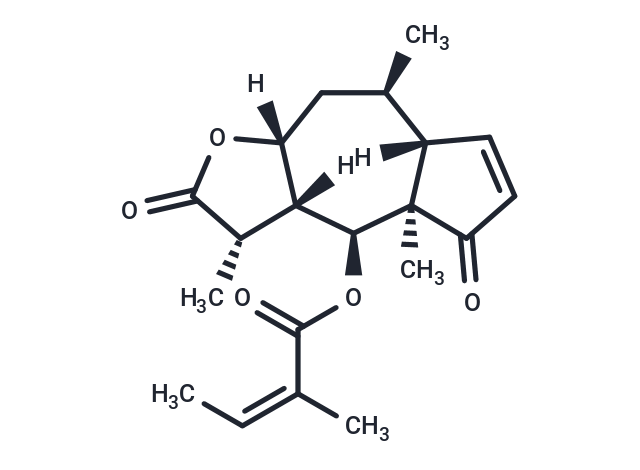 Brevilin A