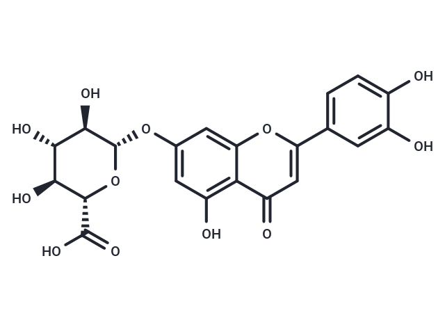 Luteolin 7-O-glucuronide