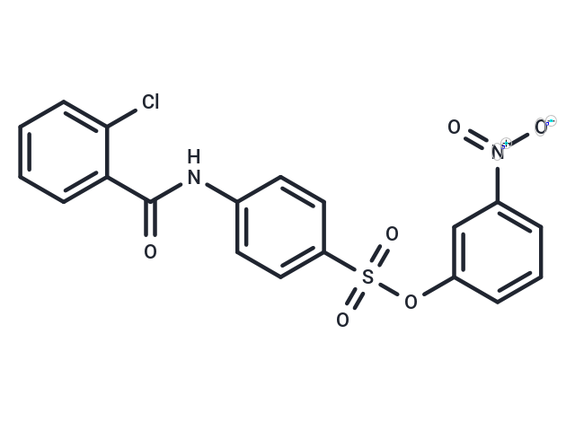 P2Y2R/GPR17 antagonist 1