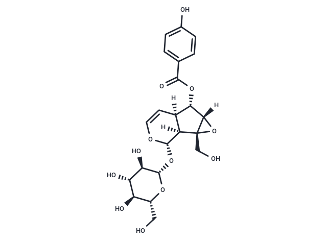 Catalposide