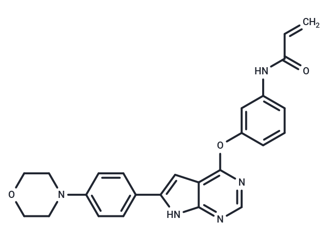 BTK inhibitor 10