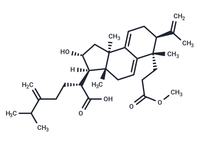 Poricoic acid AM