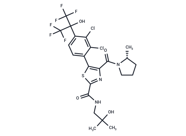 JNJ-61803534