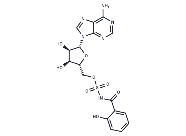 Salicyl-AMS