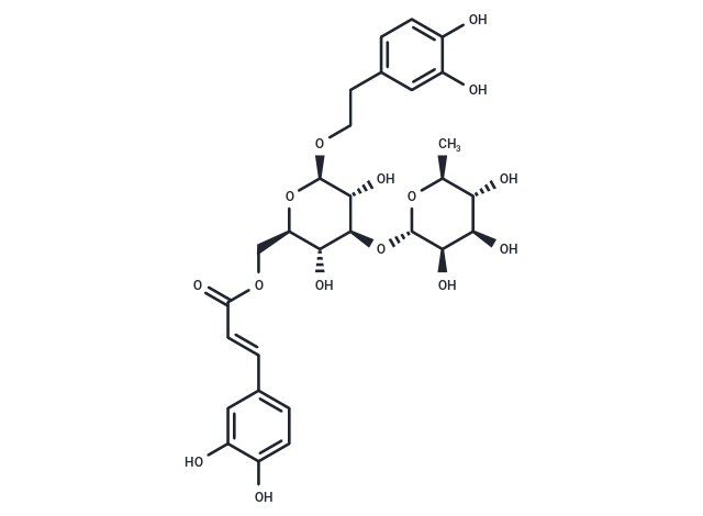 Isoacteoside