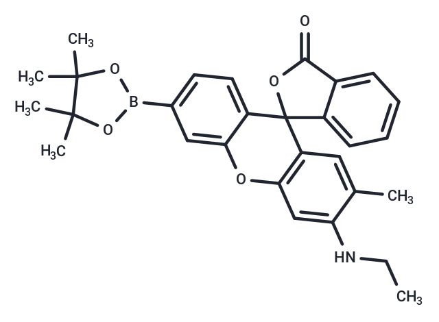 NucPE1