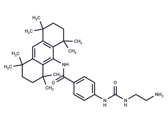 OAB-14