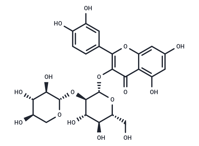 Quercetin 3-O-sambubioside