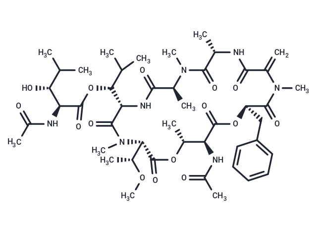 YM-254890