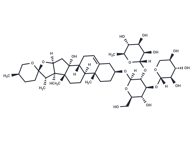 Cixiophiopogon A