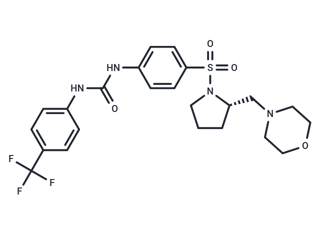 ZL0590