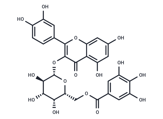 Quercetin 3-O-(6''-galloyl)-β-D-galactopyranoside