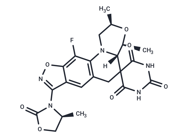 Zoliflodacin