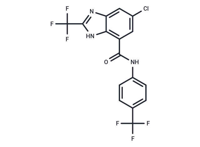 DK419