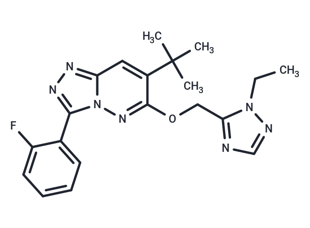 TPA 023