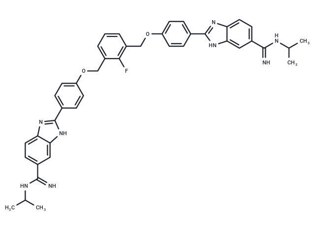 DB2313