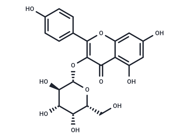 Kaempferol 3-O-β-D-galactopyranoside