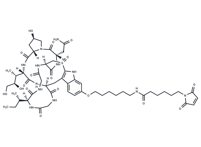 Mal-C6-α-Amanitin