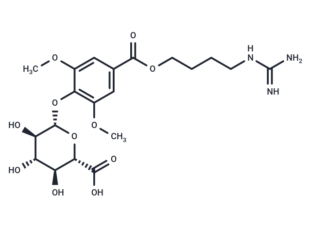 ZYZ-488