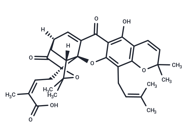 Morellic acid