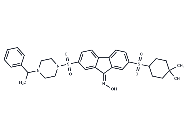 YAP/TAZ inhibitor-1