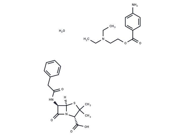 Penicillin G Procaine