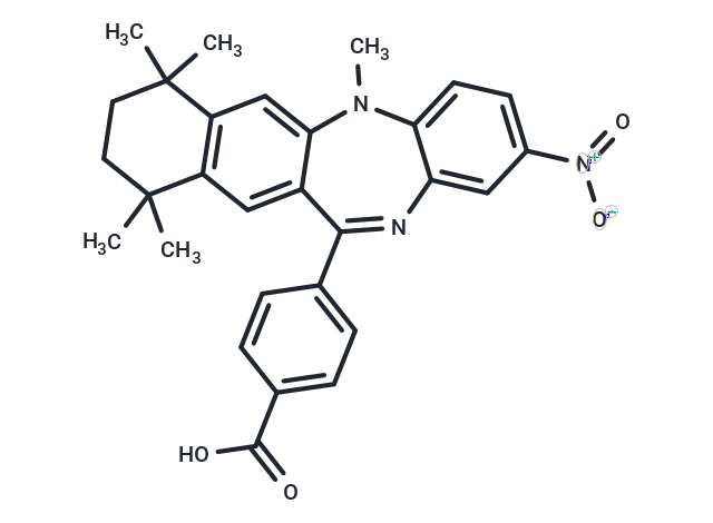 HX 531