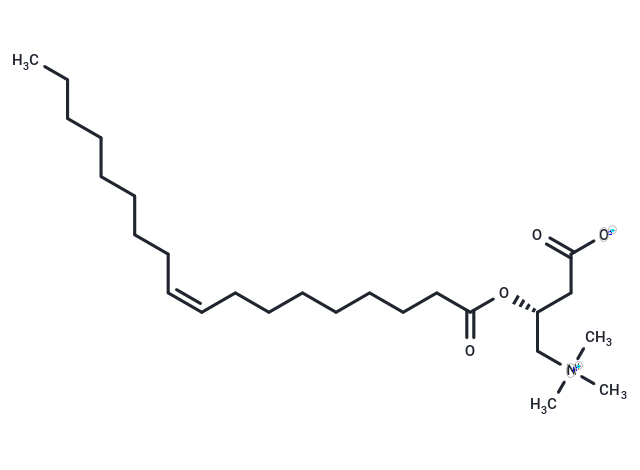 Oleoylcarnitine