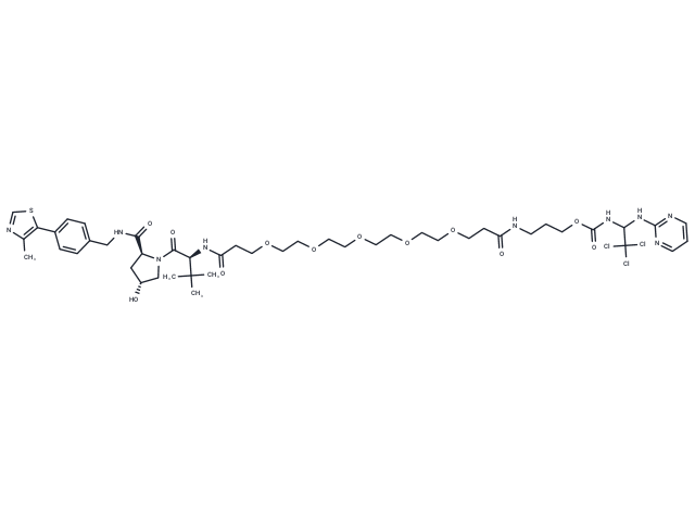 CP5V