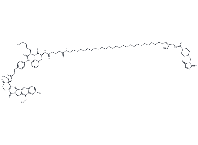 CL2-SN-38