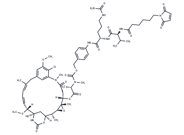 Mal-VC-PAB-DM1