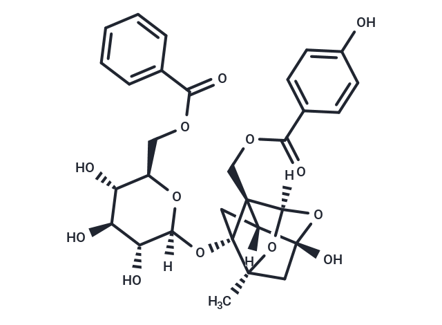 Benzoyloxypaeoniflorin