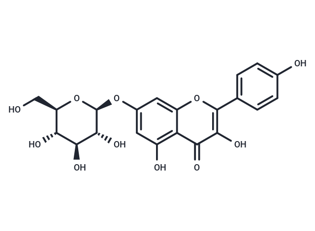 Kaempferol-7-O-β-D-glucopyranoside